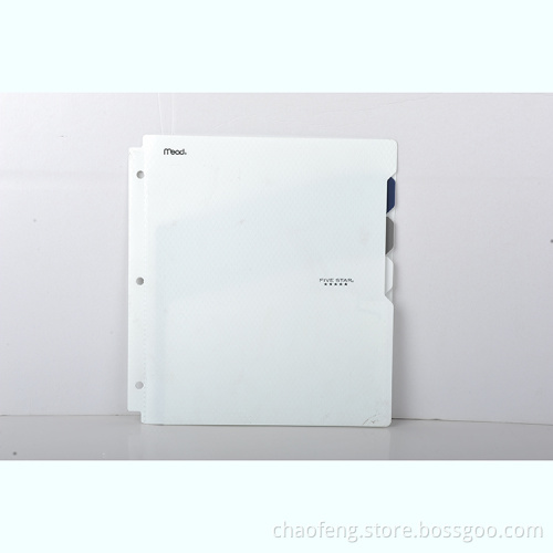 Expanding File Folder With Divider